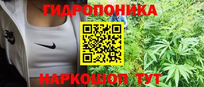 шишки Рязань