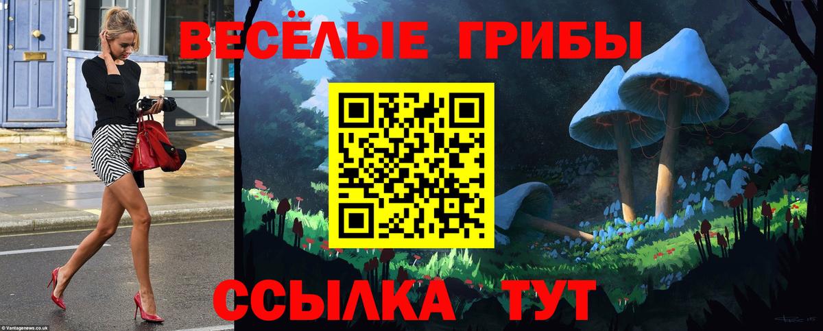 Псилоцибиновые грибы прущие грибы  Галлюциногенные грибы мицелий  Саратов  закладка  Вход с VPN 
